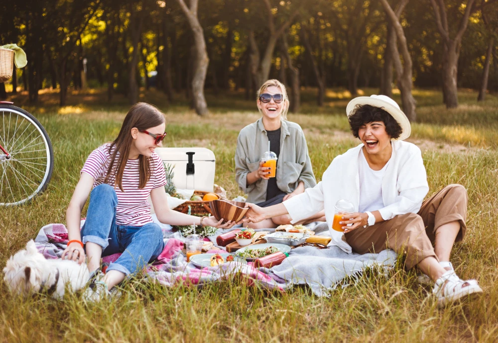 portable food cooler box