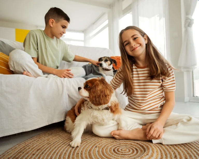 small automatic pet feeder