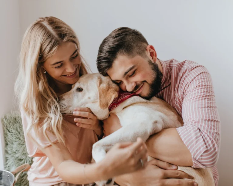 automatic pet feeder for multiple cats