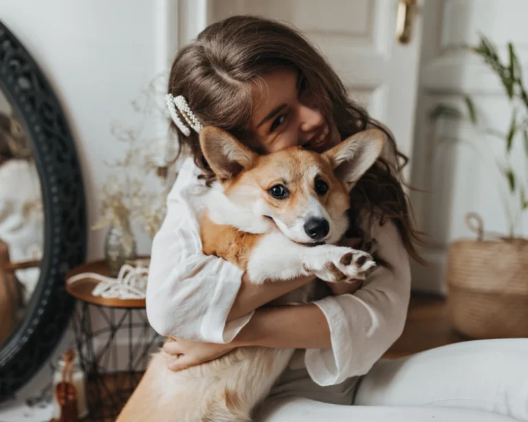 automatic food feeder for dogs